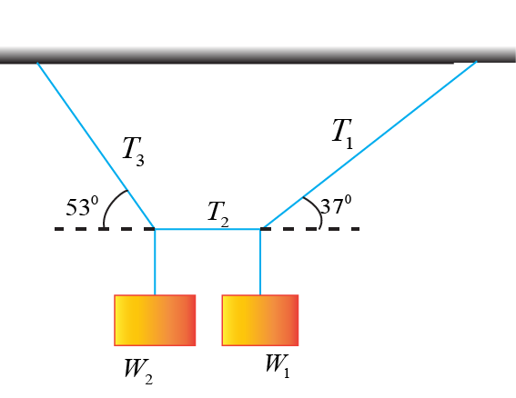 the-weight-w1-in-the-figure-is-300n-find-t1-t2-t3-and-w2-b3c94b40