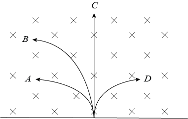 A-neutron-a-proton-an-electron-and-an-alpha-particle-enter-i-cbaba110